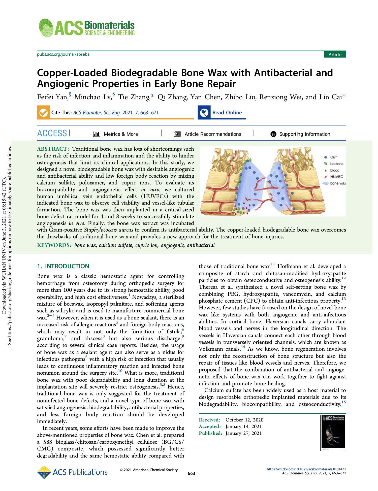 Copper-Loaded Biodegradable Bone Wax with Antibacterial and Angiogenic Properties in Early Bone Repair