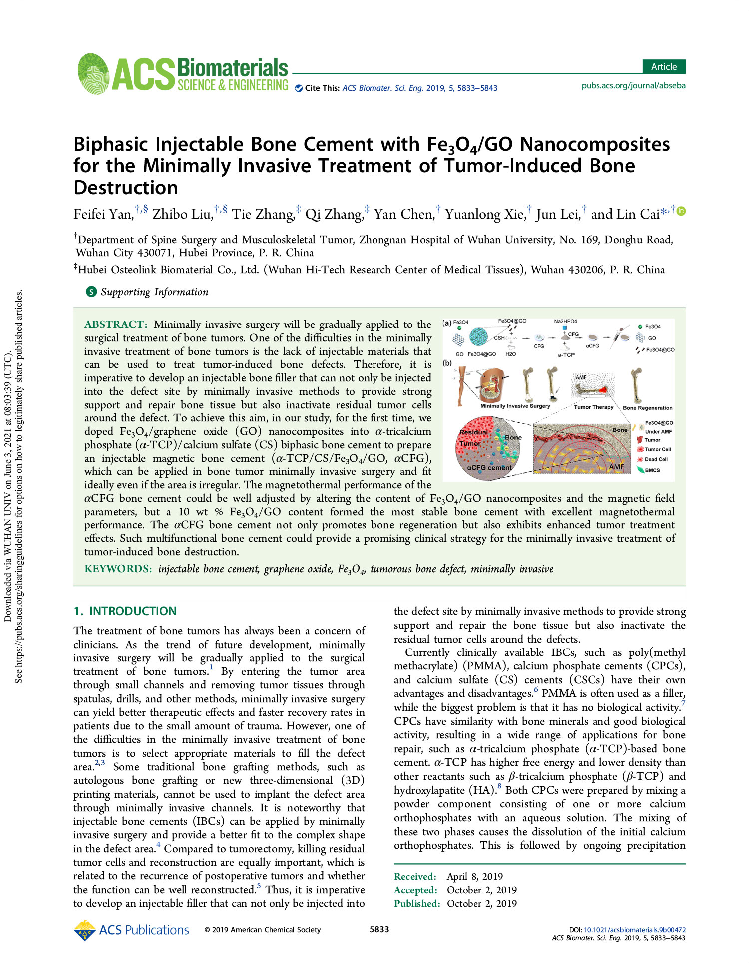 Biphasic Injectable Bone Cement with Fe3O4 GO Nanocomposites for the Minimally Invasive Treatment of Tumor-Induced Bone Destruction