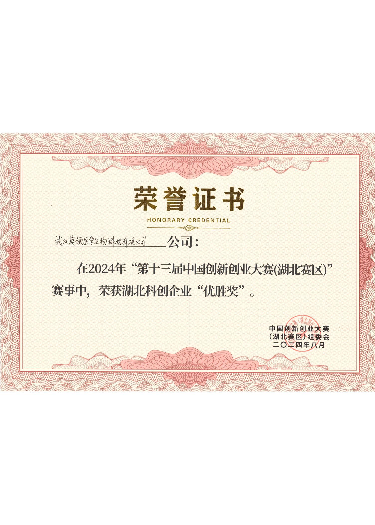 第十三届中国创新创业大赛（湖北赛区）优胜奖